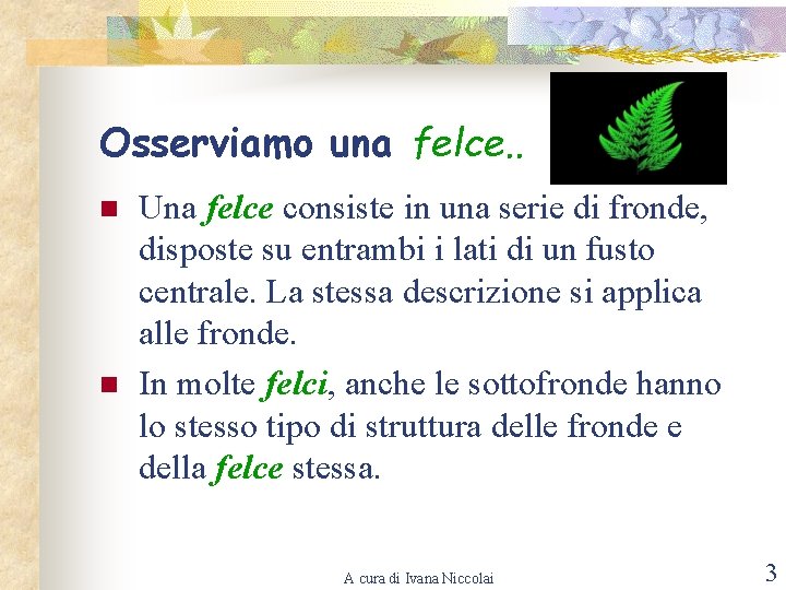 Osserviamo una felce. . n n Una felce consiste in una serie di fronde,