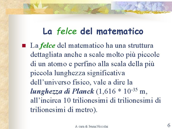 La felce del matematico n La felce del matematico ha una struttura dettagliata anche