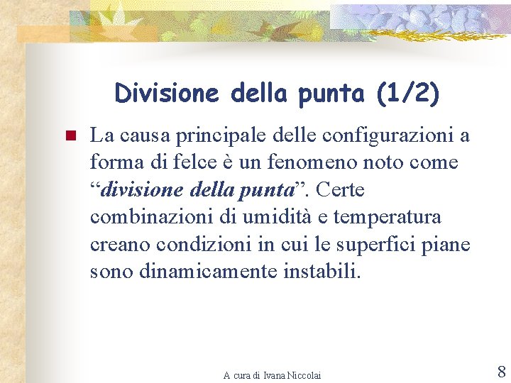 Divisione della punta (1/2) n La causa principale delle configurazioni a forma di felce