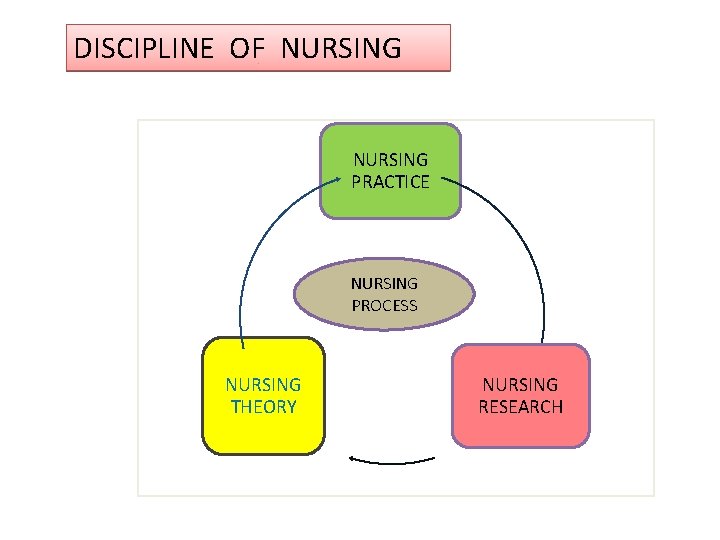 DISCIPLINE OF NURSING PRACTICE NURSING PROCESS NURSING THEORY NURSING RESEARCH 