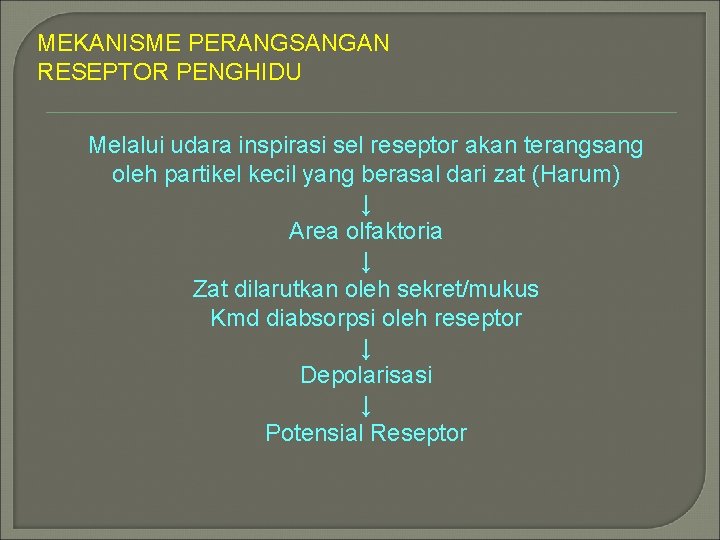 MEKANISME PERANGSANGAN RESEPTOR PENGHIDU Melalui udara inspirasi sel reseptor akan terangsang oleh partikel kecil