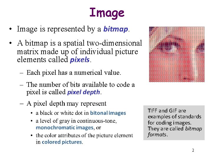 Image • Image is represented by a bitmap. • A bitmap is a spatial