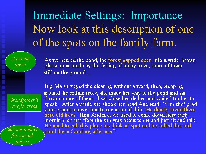 Immediate Settings: Importance Now look at this description of one of the spots on