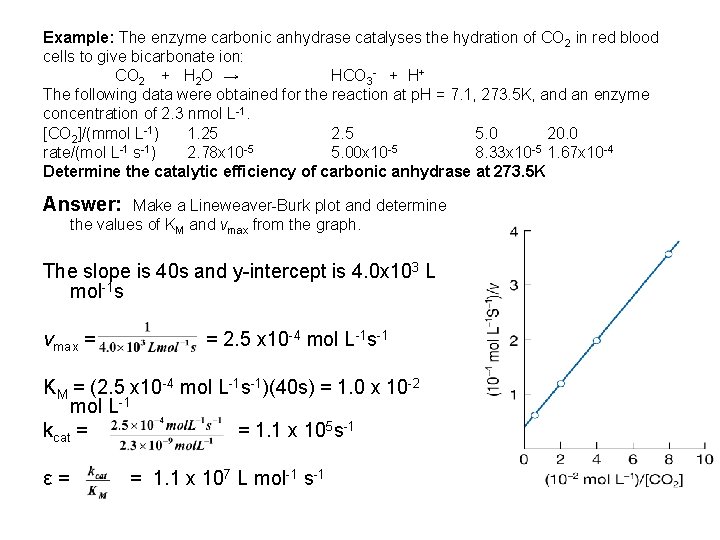 Example: The enzyme carbonic anhydrase catalyses the hydration of CO 2 in red blood