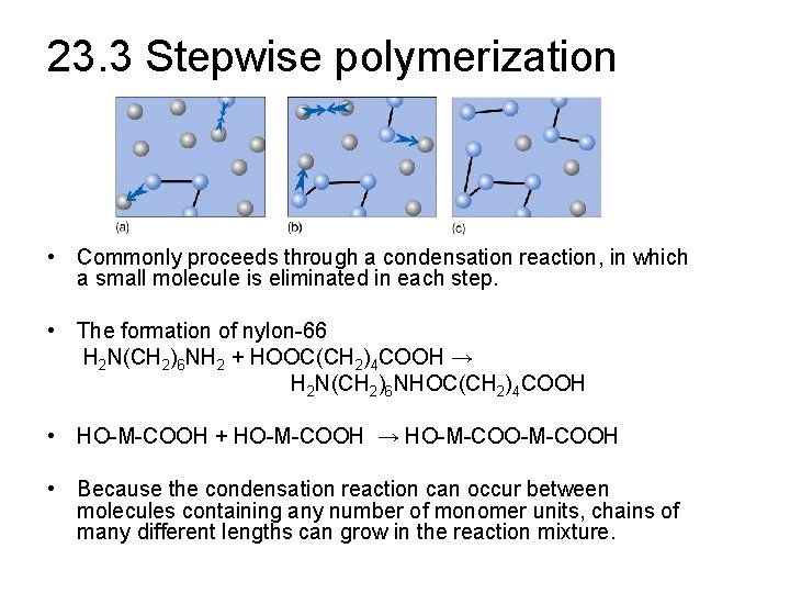 23. 3 Stepwise polymerization • Commonly proceeds through a condensation reaction, in which a