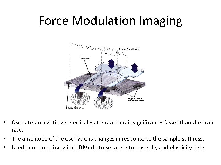 Force Modulation Imaging • Oscillate the cantilever vertically at a rate that is significantly