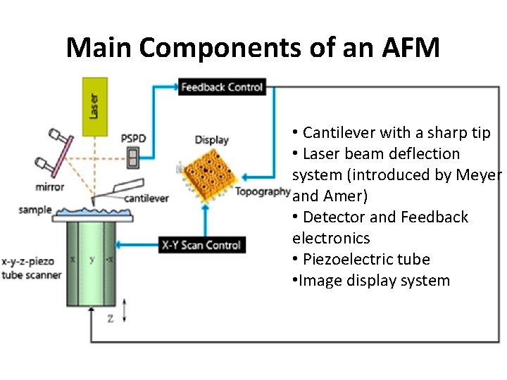 Main Components of an AFM • Cantilever with a sharp tip • Laser beam