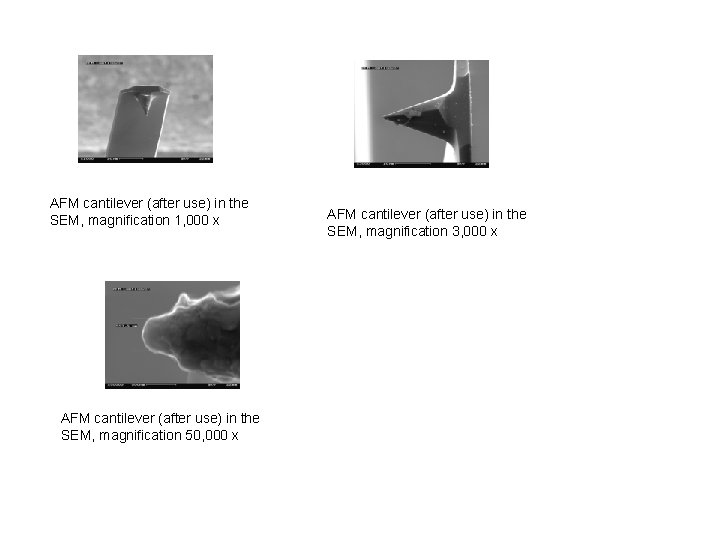 AFM cantilever (after use) in the SEM, magnification 1, 000 x AFM cantilever (after
