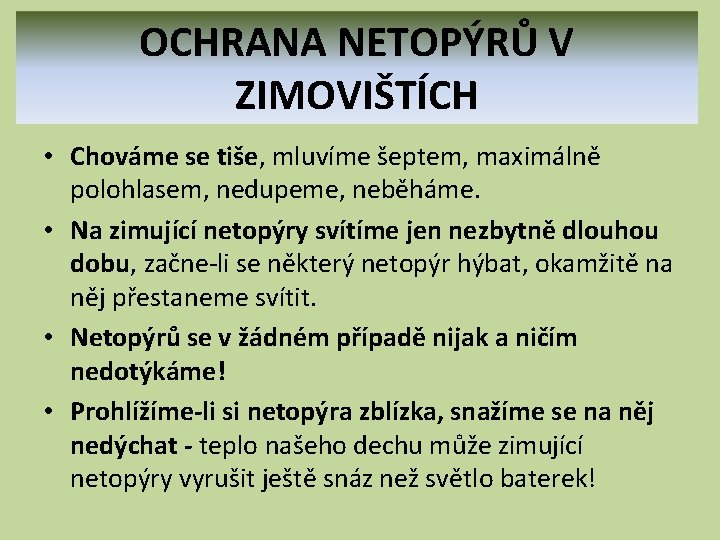 OCHRANA NETOPÝRŮ V ZIMOVIŠTÍCH • Chováme se tiše, mluvíme šeptem, maximálně polohlasem, nedupeme, neběháme.