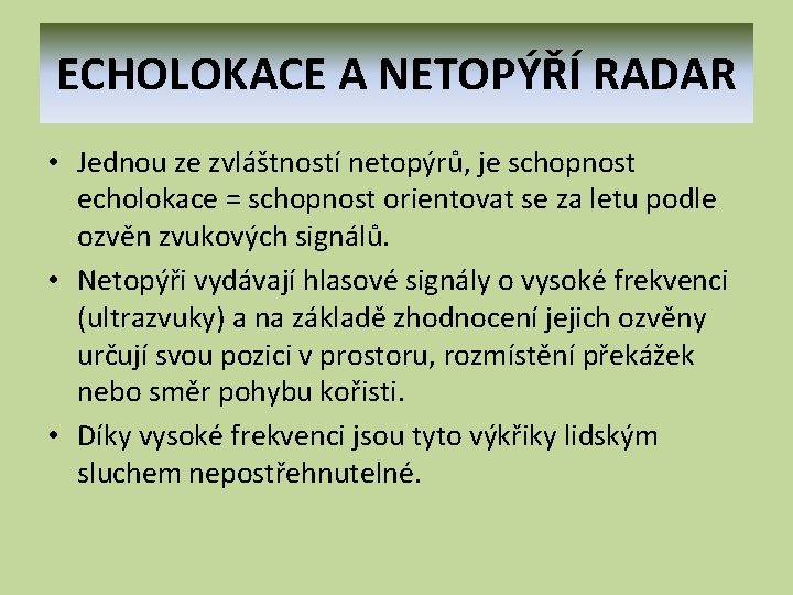 ECHOLOKACE A NETOPÝŘÍ RADAR • Jednou ze zvláštností netopýrů, je schopnost echolokace = schopnost