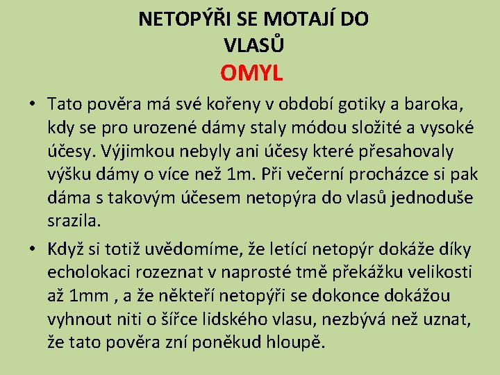 NETOPÝŘI SE MOTAJÍ DO VLASŮ OMYL • Tato pověra má své kořeny v období