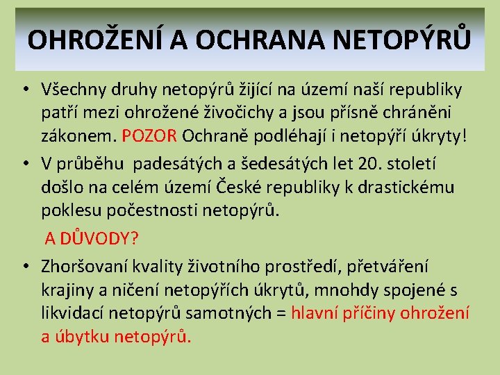 OHROŽENÍ A OCHRANA NETOPÝRŮ • Všechny druhy netopýrů žijící na území naší republiky patří