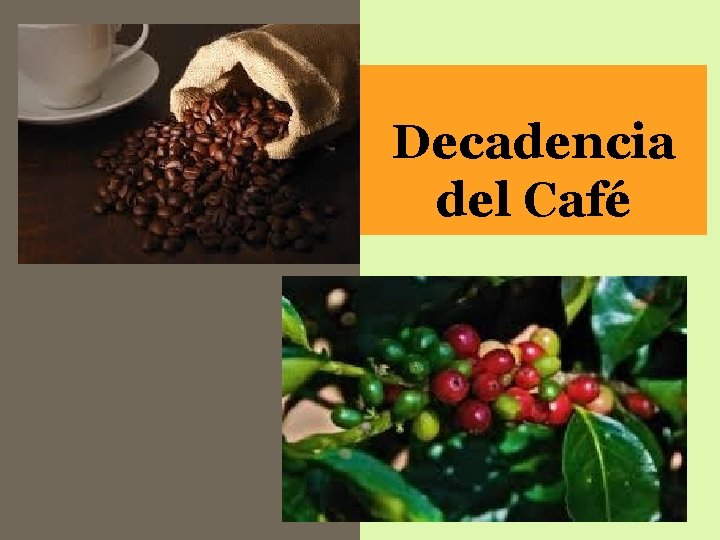 Decadencia del Café Decadencia del Café