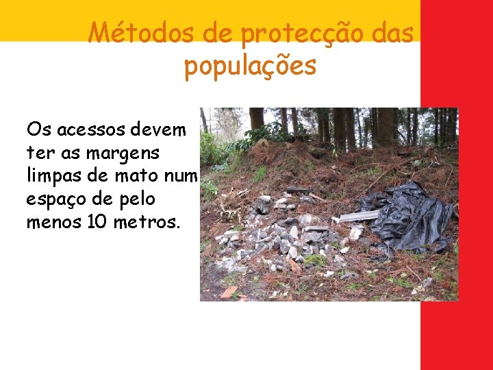 Métodos de protecção das populações Os acessos devem ter as margens limpas de mato