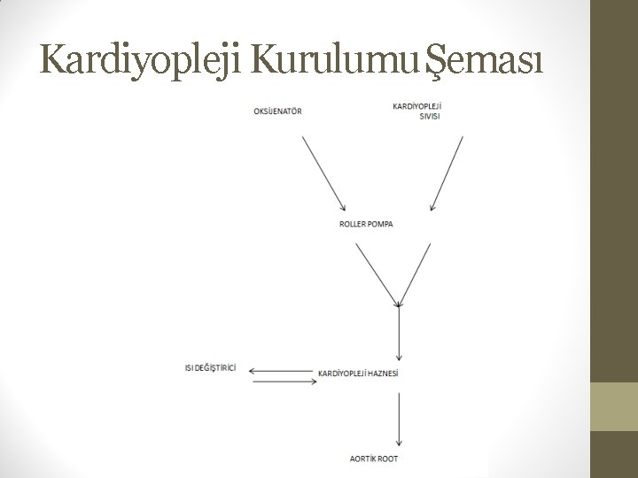 Kardiyopleji Kurulumu Şeması 