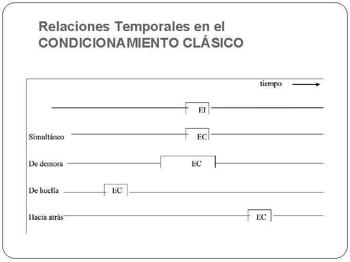 Relaciones Temporales en el CONDICIONAMIENTO CLÁSICO 