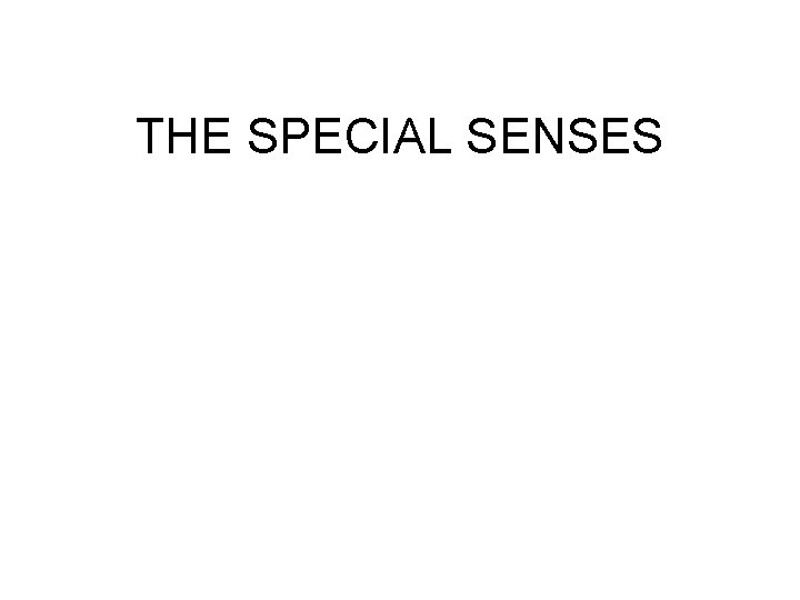 THE SPECIAL SENSES 