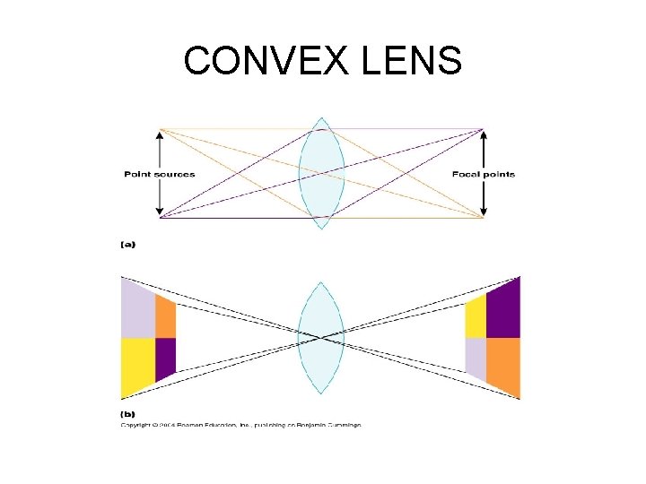 CONVEX LENS 