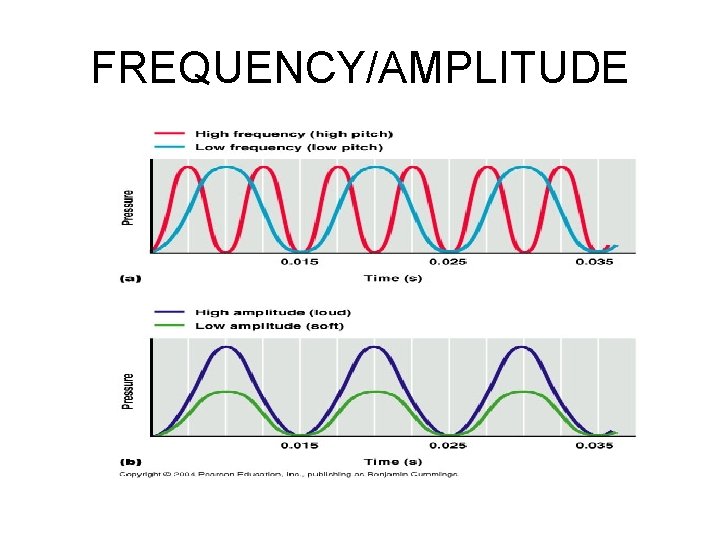 FREQUENCY/AMPLITUDE 