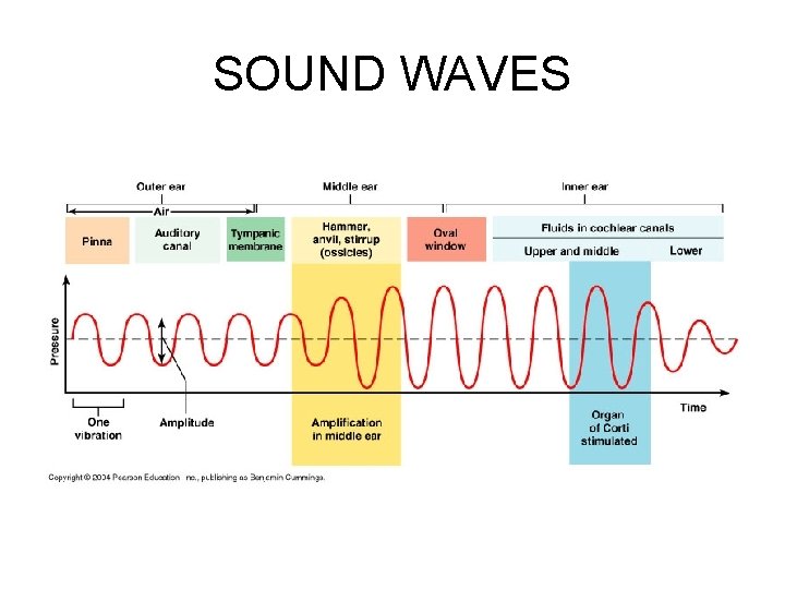 SOUND WAVES 