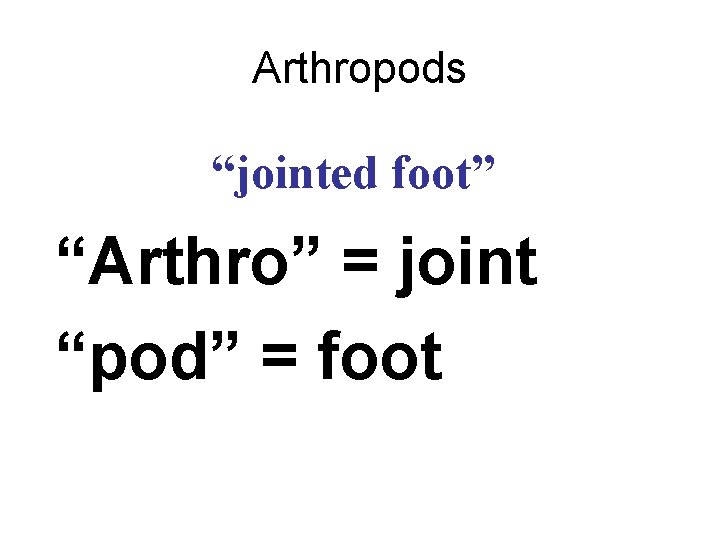 Arthropods “jointed foot” “Arthro” = joint “pod” = foot 