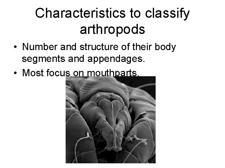 Characteristics to classify arthropods • Number and structure of their body segments and appendages.