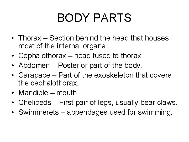 BODY PARTS • Thorax – Section behind the head that houses most of the