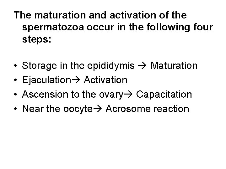 The maturation and activation of the spermatozoa occur in the following four steps: •
