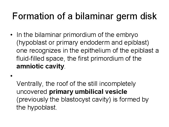 Formation of a bilaminar germ disk • In the bilaminar primordium of the embryo