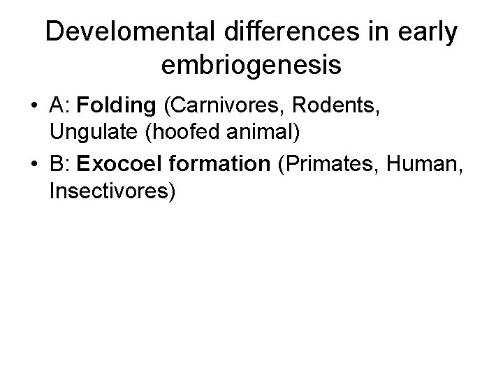 Develomental differences in early embriogenesis • A: Folding (Carnivores, Rodents, Ungulate (hoofed animal) •