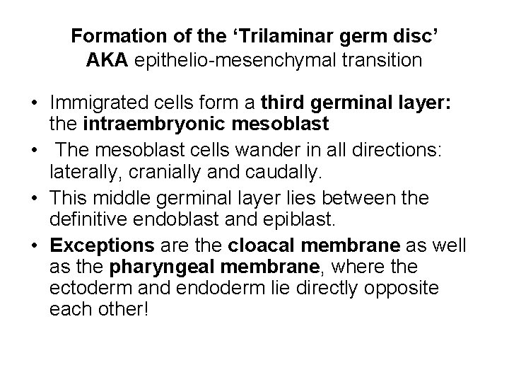 Formation of the ‘Trilaminar germ disc’ AKA epithelio-mesenchymal transition • Immigrated cells form a