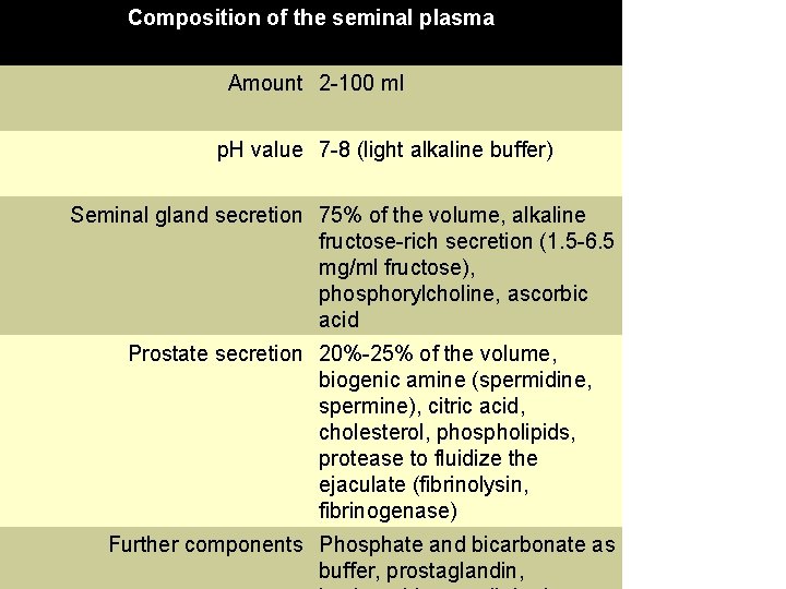 Composition of the seminal plasma Amount 2 -100 ml p. H value 7 -8