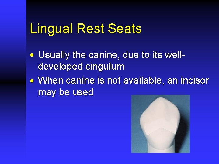 Lingual Rest Seats · Usually the canine, due to its welldeveloped cingulum · When