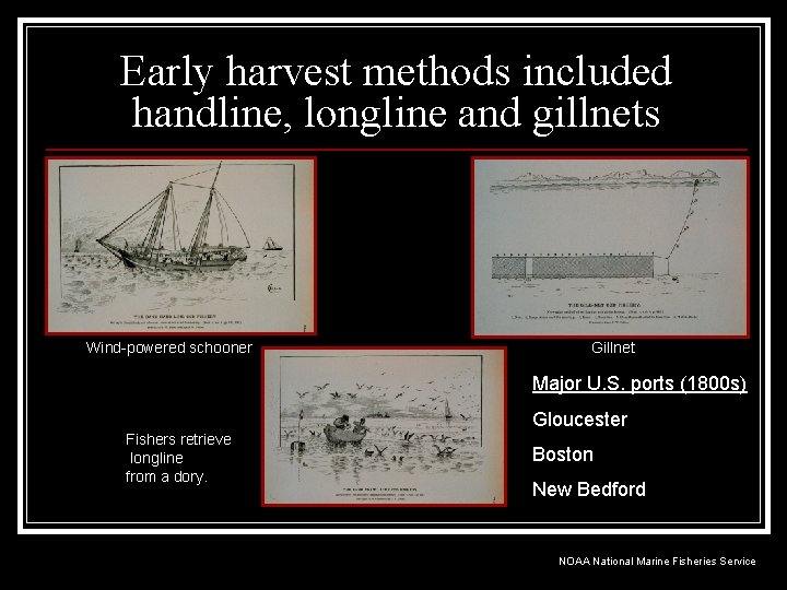 Early harvest methods included handline, longline and gillnets Wind-powered schooner Gillnet Major U. S.