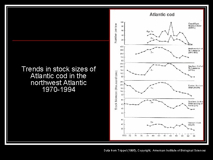 Trends in stock sizes of Atlantic cod in the northwest Atlantic 1970 -1994 Data