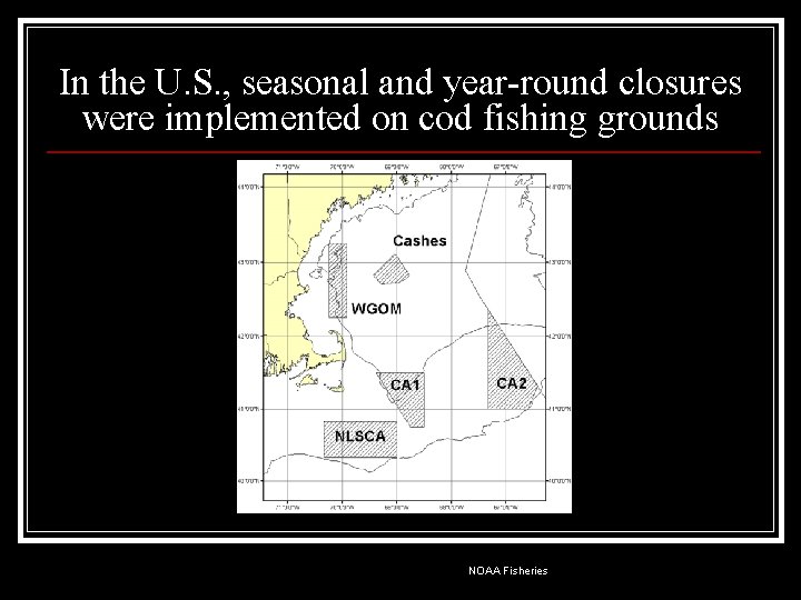 In the U. S. , seasonal and year-round closures were implemented on cod fishing