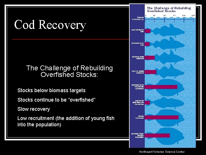 Cod Recovery The Challenge of Rebuilding Overfished Stocks: Stocks below biomass targets Stocks continue