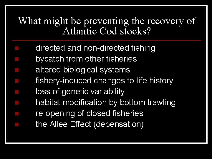 What might be preventing the recovery of Atlantic Cod stocks? n n n n