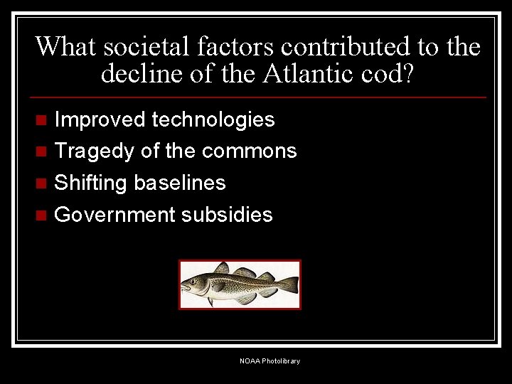 What societal factors contributed to the decline of the Atlantic cod? Improved technologies n