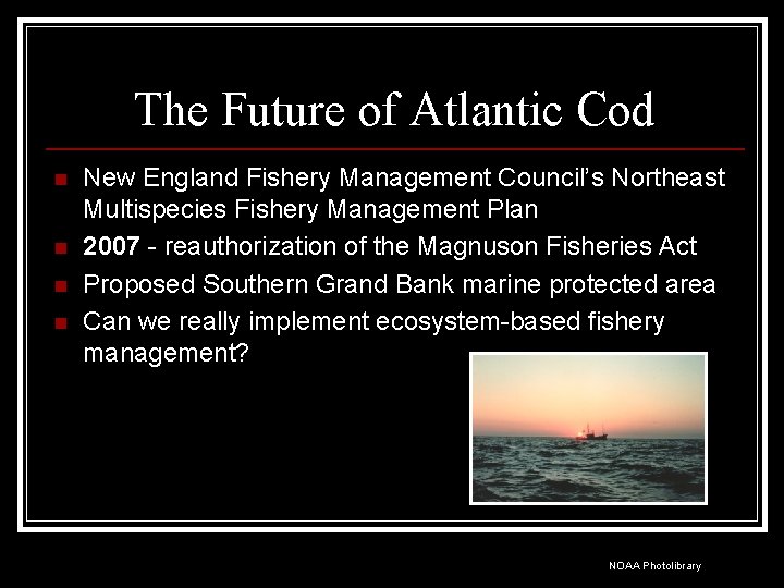 The Future of Atlantic Cod n n New England Fishery Management Council’s Northeast Multispecies
