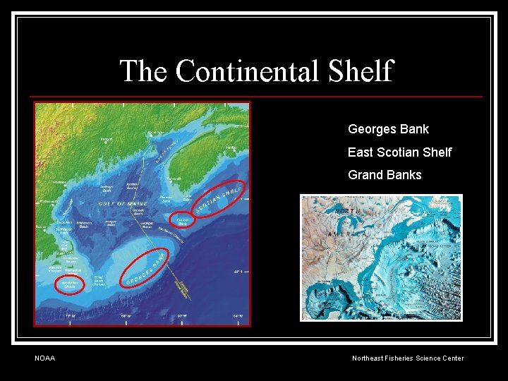 The Continental Shelf Georges Bank East Scotian Shelf Grand Banks NOAA Northeast Fisheries Science