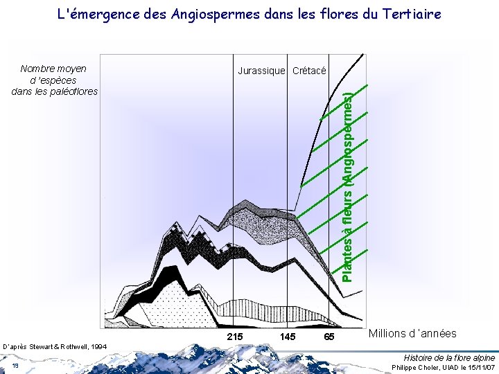 L'émergence des Angiospermes dans les flores du Tertiaire Jurassique Crétacé Plantes à fleurs (Angiospermes) L'émergence des Angiospermes dans les flores du Tertiaire Jurassique Crétacé Plantes à fleurs (Angiospermes)