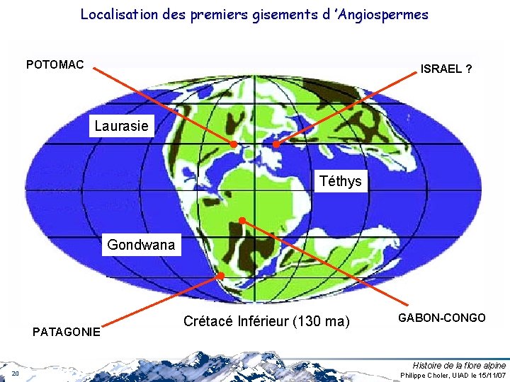 Localisation des premiers gisements d ’Angiospermes POTOMAC ISRAEL ? Laurasie Téthys Gondwana PATAGONIE 20 Localisation des premiers gisements d ’Angiospermes POTOMAC ISRAEL ? Laurasie Téthys Gondwana PATAGONIE 20