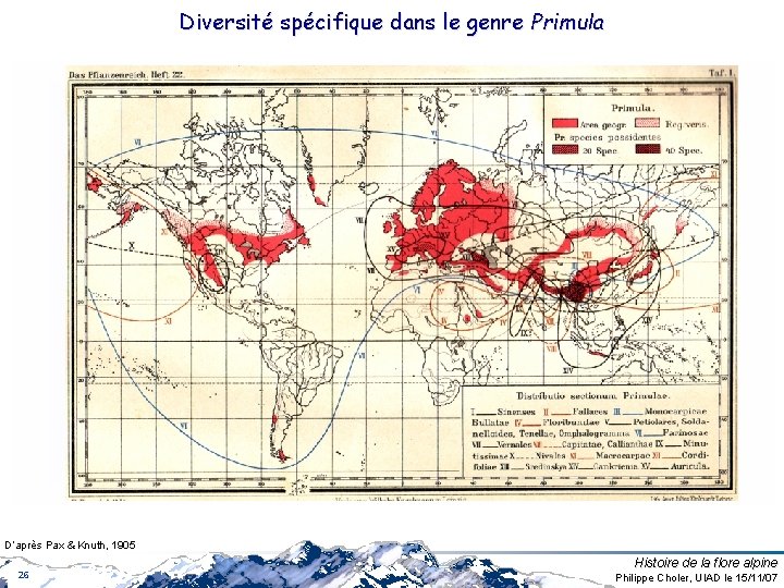 Diversité spécifique dans le genre Primula D’après Pax & Knuth, 1905 26 Histoire de Diversité spécifique dans le genre Primula D’après Pax & Knuth, 1905 26 Histoire de