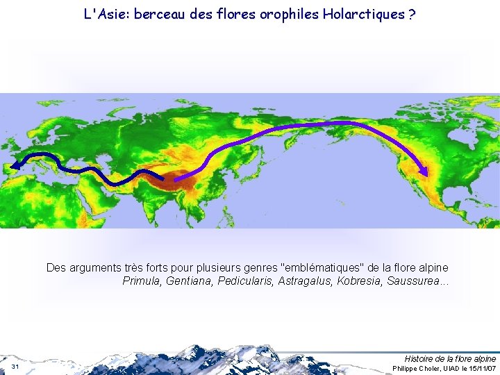L'Asie: berceau des flores orophiles Holarctiques ? Des arguments très forts pour plusieurs genres L'Asie: berceau des flores orophiles Holarctiques ? Des arguments très forts pour plusieurs genres