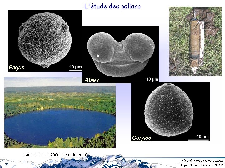 L'étude des pollens Fagus Abies Corylus Haute Loire. 1208 m. Lac de cratère. 35 L'étude des pollens Fagus Abies Corylus Haute Loire. 1208 m. Lac de cratère. 35