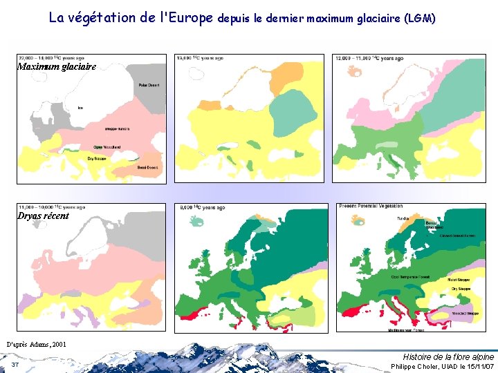 La végétation de l'Europe depuis le dernier maximum glaciaire (LGM) Maximum glaciaire Dryas récent La végétation de l'Europe depuis le dernier maximum glaciaire (LGM) Maximum glaciaire Dryas récent