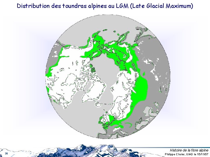 Distribution des toundras alpines au LGM (Late Glacial Maximum) 38 Histoire de la flore Distribution des toundras alpines au LGM (Late Glacial Maximum) 38 Histoire de la flore
