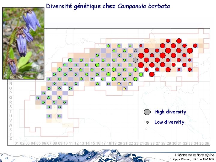 Diversité génétique chez Campanula barbata High diversity Low diversity 43 Histoire de la flore Diversité génétique chez Campanula barbata High diversity Low diversity 43 Histoire de la flore