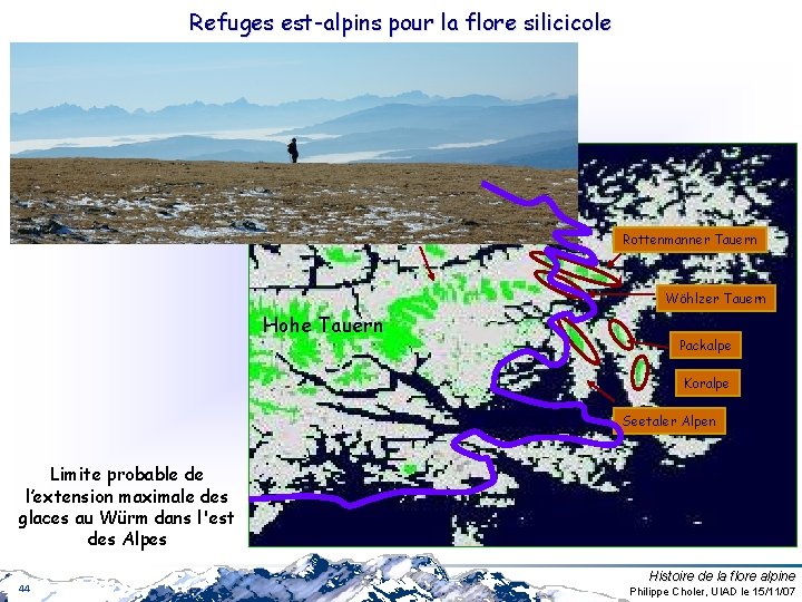 Refuges est-alpins pour la flore silicicole Rottenmanner Tauern Hohe Tauern Wöhlzer Tauern Packalpe Koralpe Refuges est-alpins pour la flore silicicole Rottenmanner Tauern Hohe Tauern Wöhlzer Tauern Packalpe Koralpe
